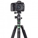 Phottix TA-255A 5 Section Aluminum Tripod with BH-S Ball Head