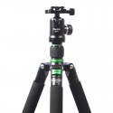 Phottix TA-285C 5 Section Carbon Fiber Tripod with BH-M II Ball Head